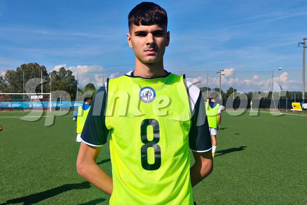 Amirolt Dehari (Bacigalupo)