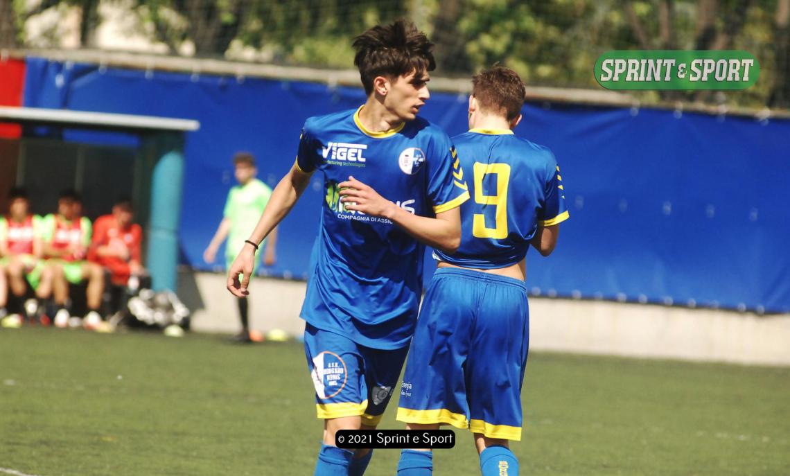 Zunino Molfetta Borgaro