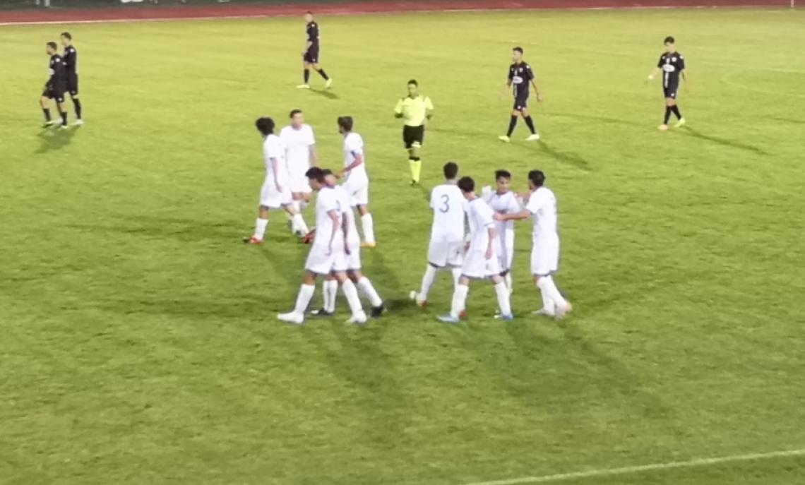 Sestese Varesina Coppa Eccellenza