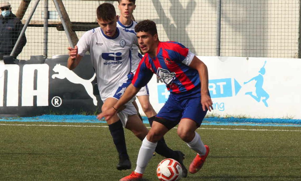 Alessandro Pellegrino, Enotria