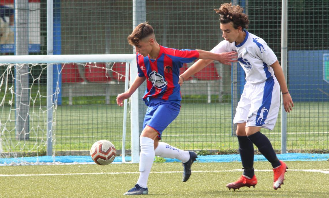 Nicol&ograve; Bueti, Enotria