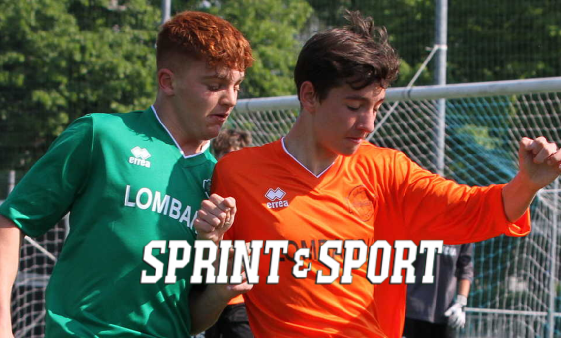 I 2008 danno spettacolo: la Rapp riparte con ottime prospettive