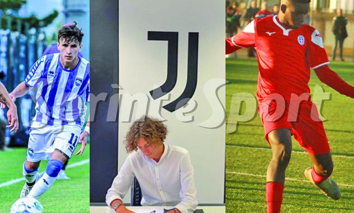 Dai Dilettanti al Professionismo