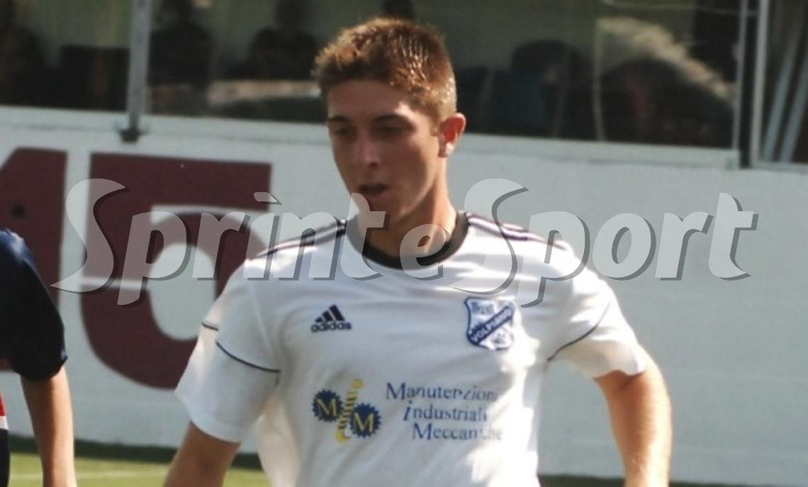 Niccol&ograve; Laurenti