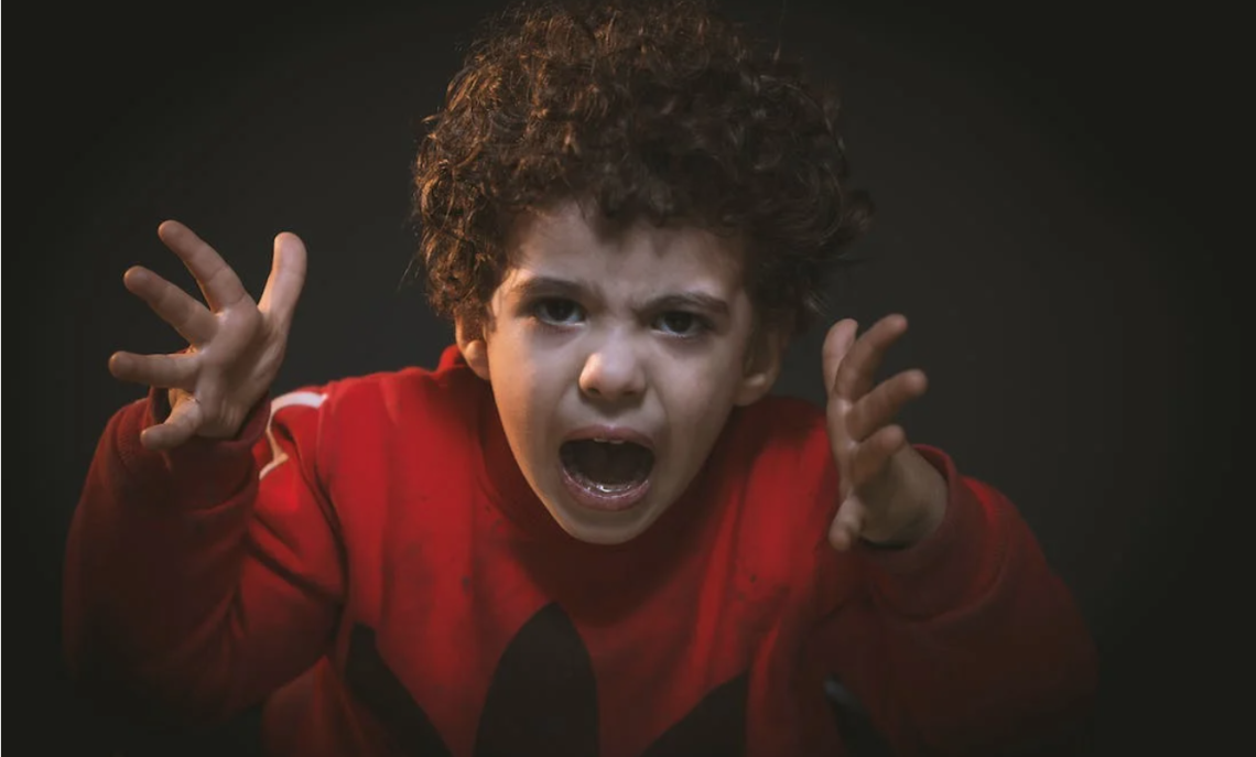 Gli 'automatismi' e la fisiobiologia della mente umana: emozioni e reazioni