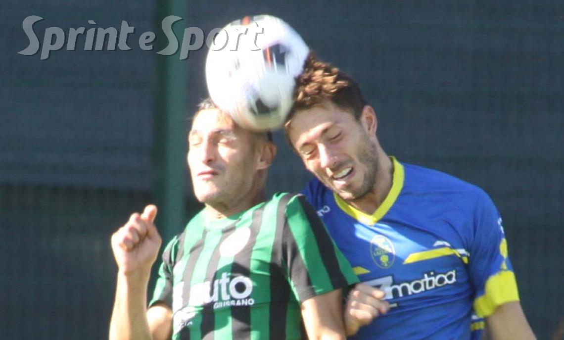 Rosa dell'Ardor Lazzate