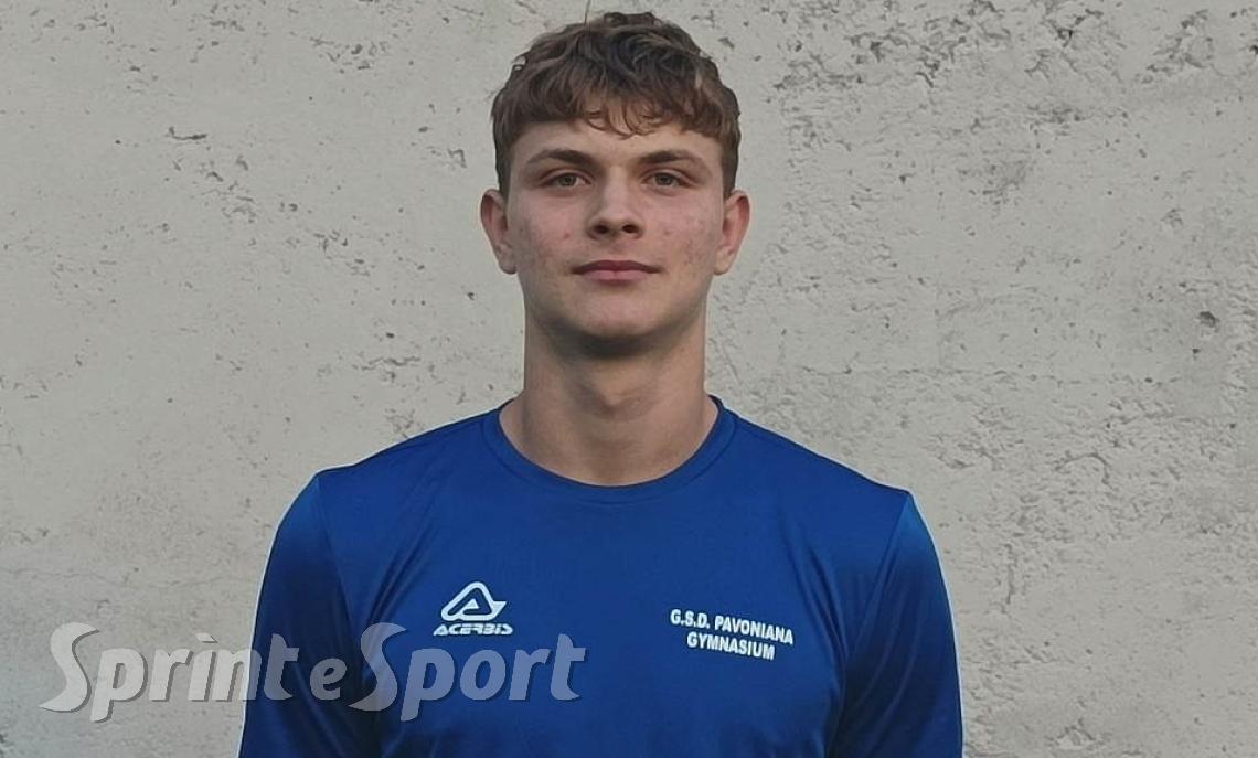 ERMIN TELALOVIC PAVONIANA