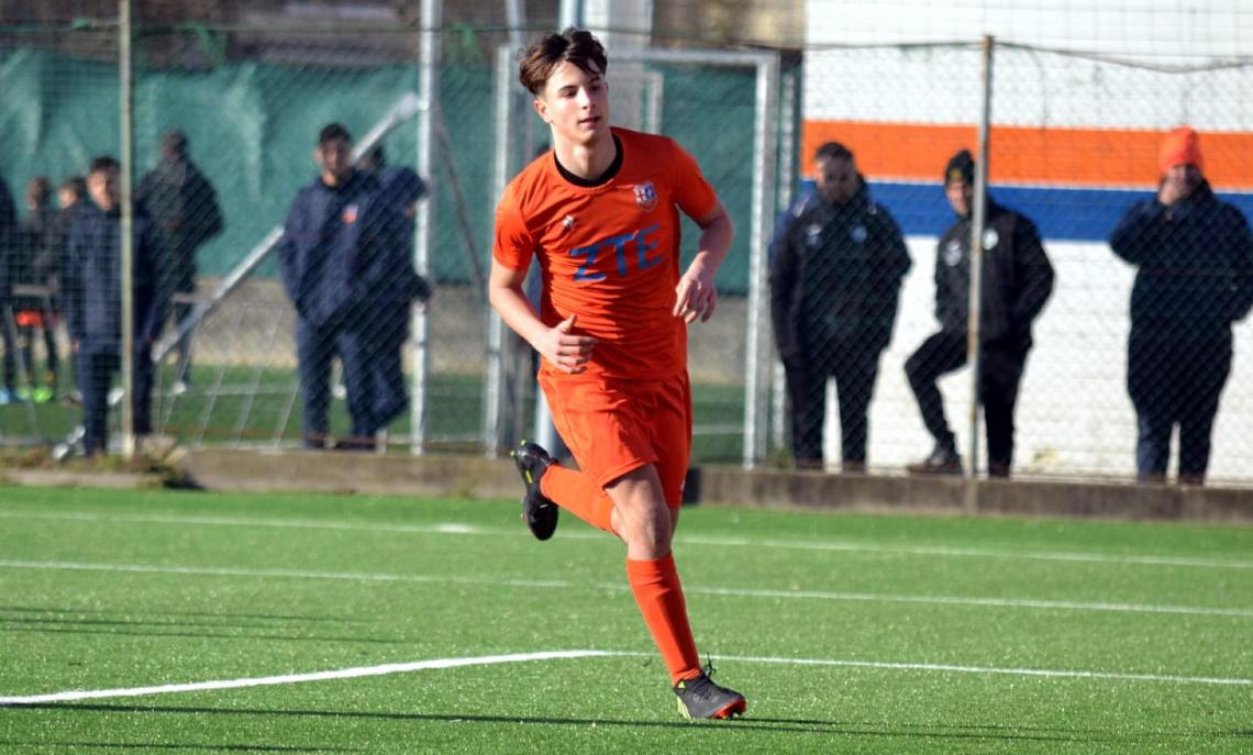 GIULIO FARDIN ALCIONE