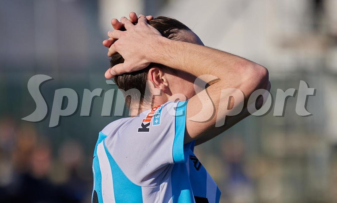 GIUDICE SPORTIVO DILETTANTI PIEMONTE