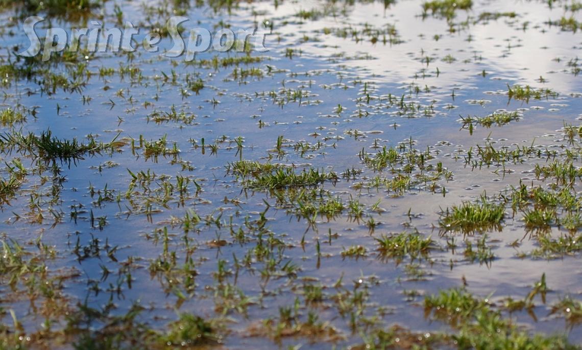 ALLERTA METEO PIEMONTE