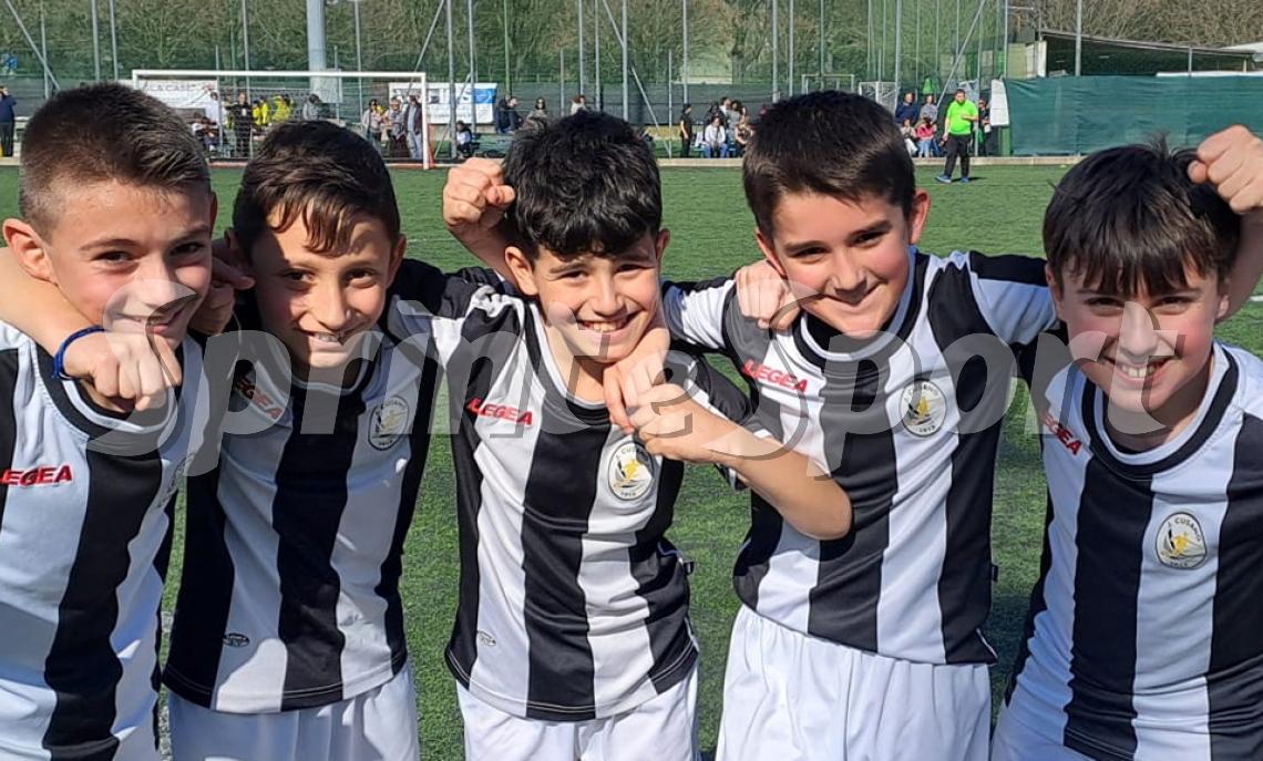 J.Cusano Pulcini 2013