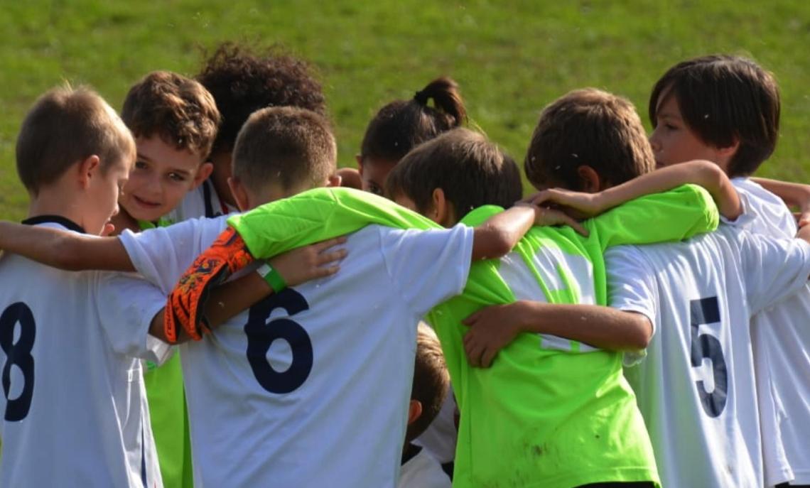 Alicese orizzonti pulcini misti