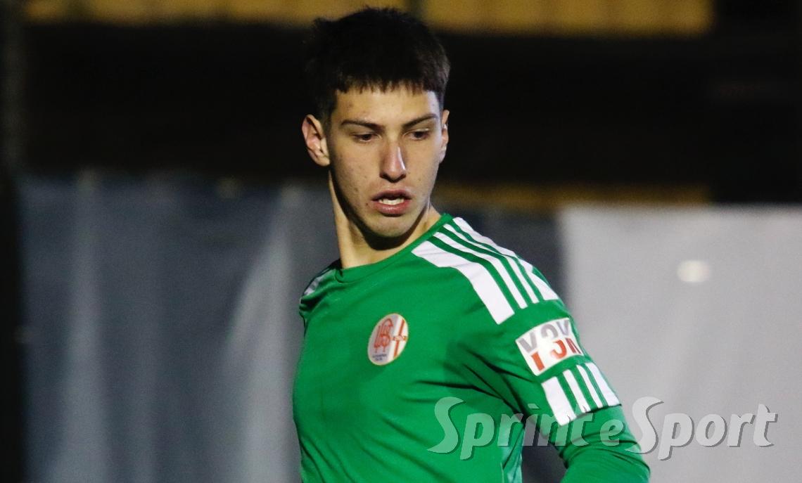 Innesti dalle prof e una rosa 