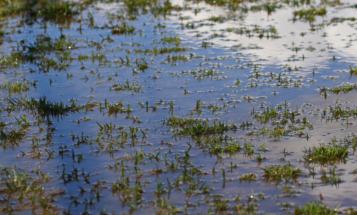 Campo impraticabile, ma senza linee tracciate: sar&agrave; rinvio o 0-3 a tavolino?