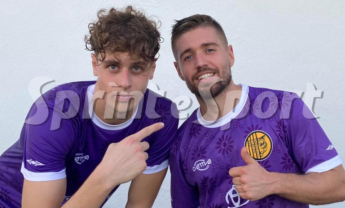 Riccardo Ferrari, Axel Gulin, Virtus Vercelli, Promozione