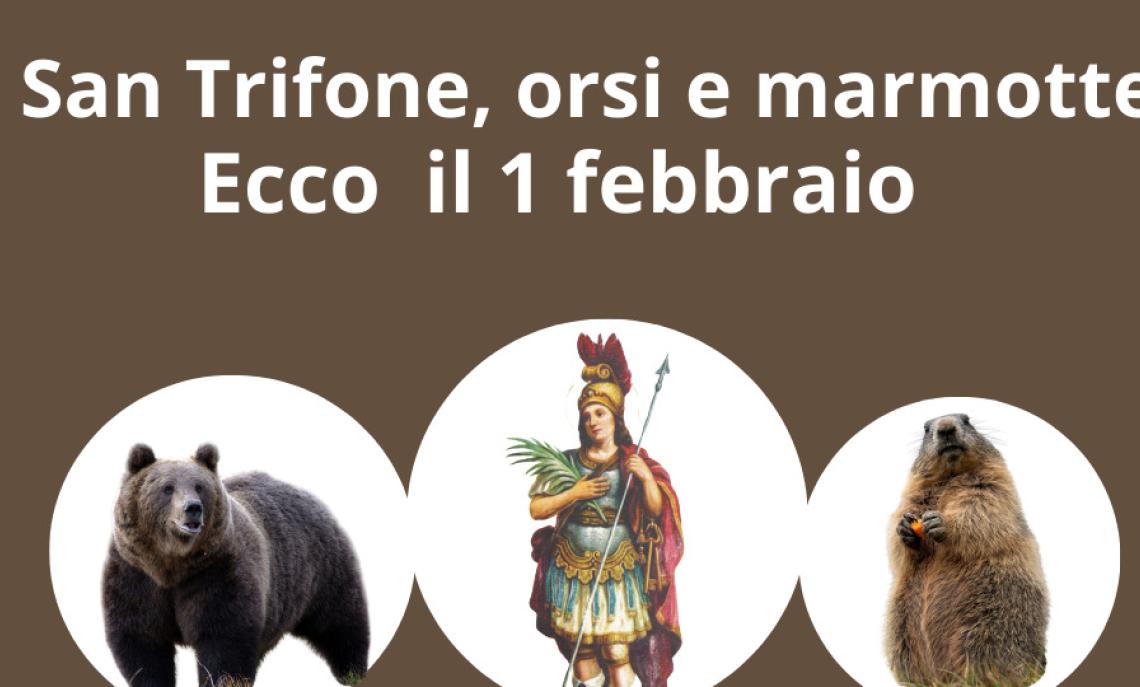 1 Febbraio tra orsi, san Trifone e marmotte
