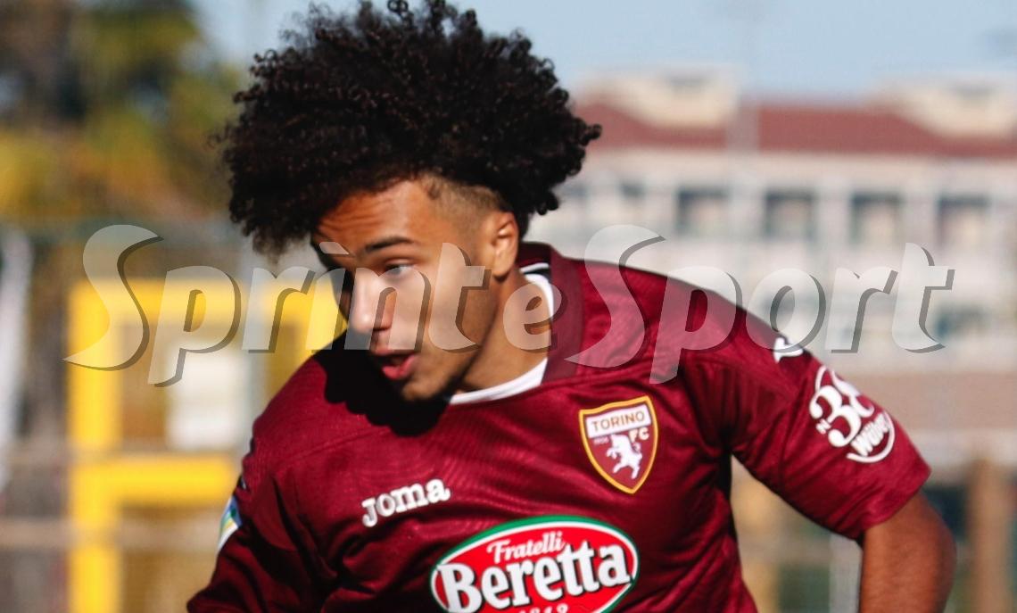 CALCIO MERCATO TORINO - AARON CIAMMAGLICHELLA TERNANA