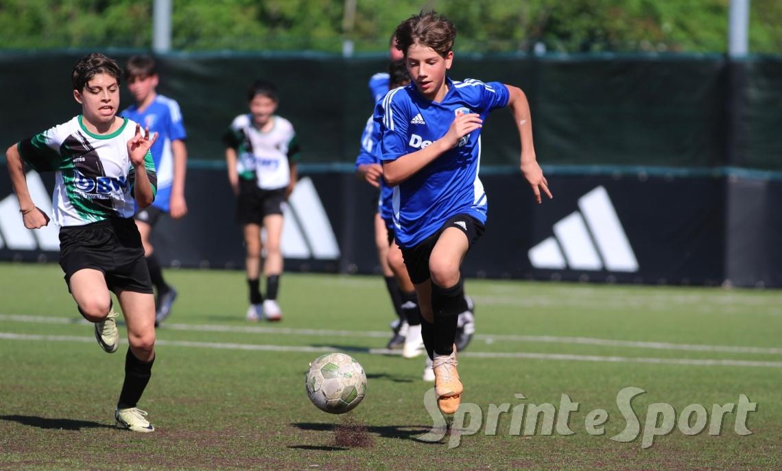 MASSERONI MARCHESE 2