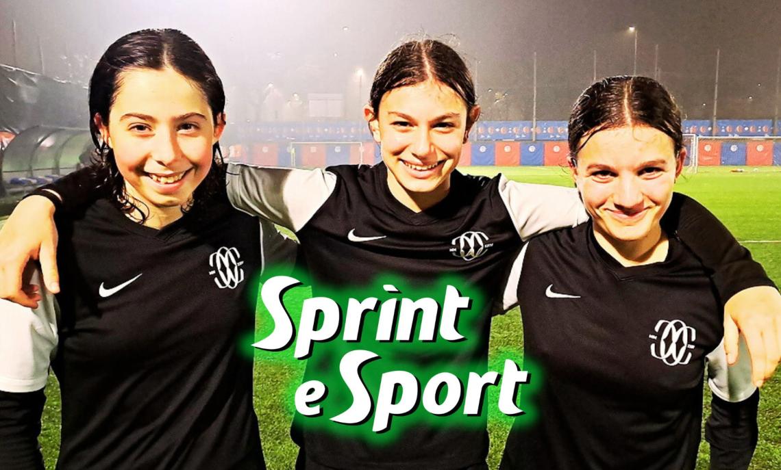 Bracco Cup Annovazzi