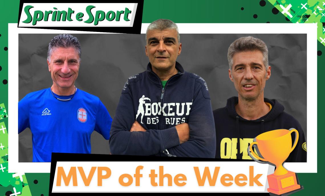 Cioffi Barona Di Pinto Tribiano Guidotti Opera