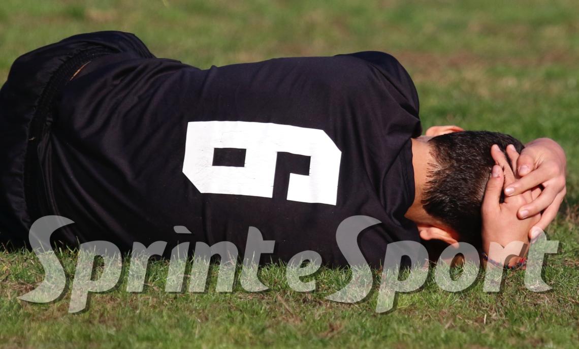 REGOLA GIOVANI CALCIATORI DILETTANTI PIEMONTE