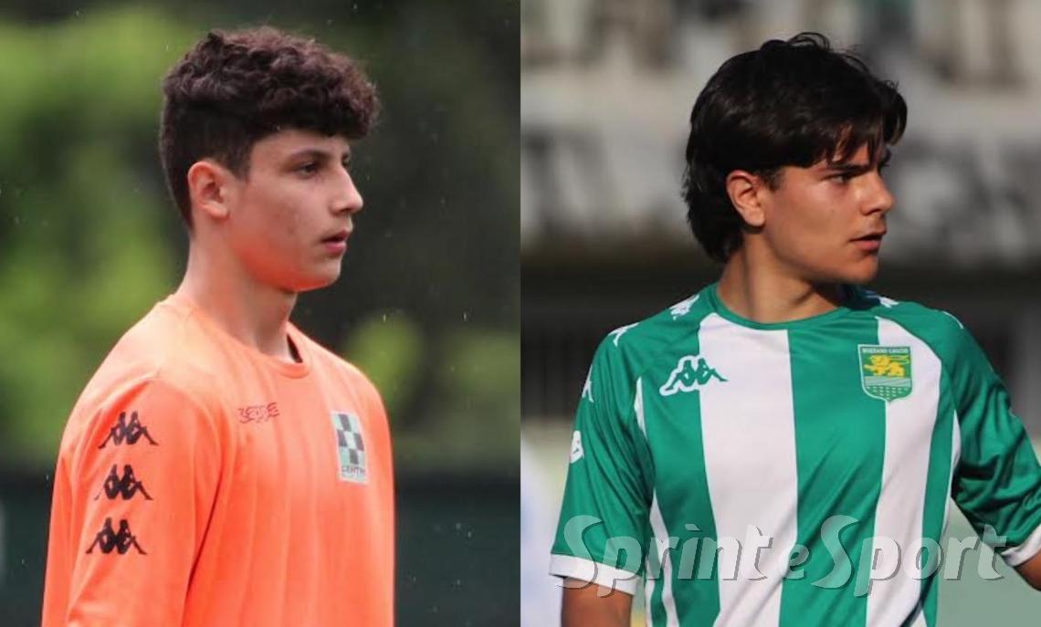 Nicol&ograve; Ricci e Gabriele Guatto, Schuster e Rozzano