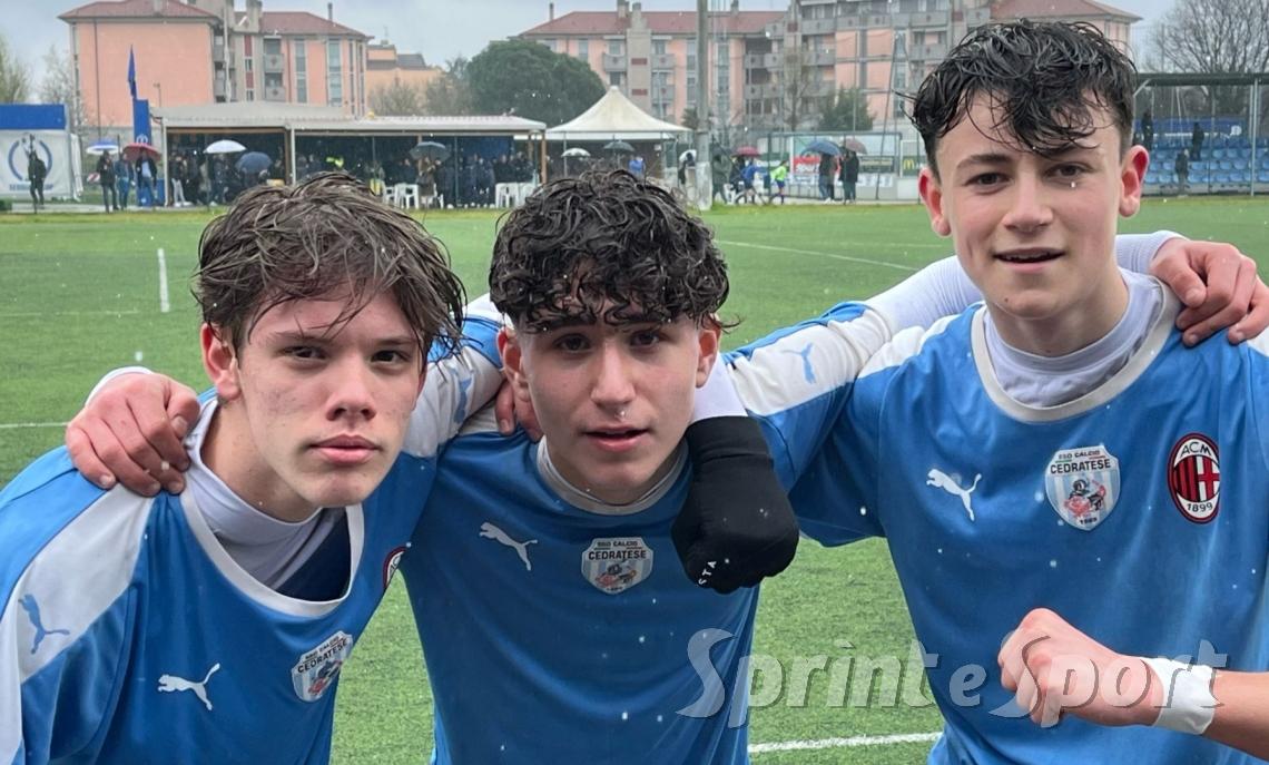 Scampini, Magistrali e Coppa della Cedratese