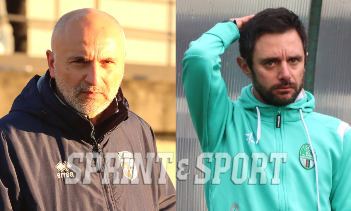 Petrone Nava Arcellasco