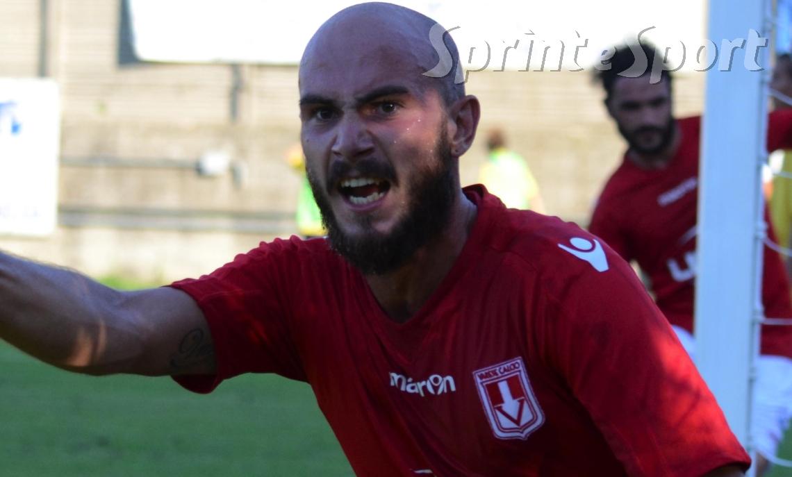 GELBISON SERIE D - FRANCESCO VISCOMI