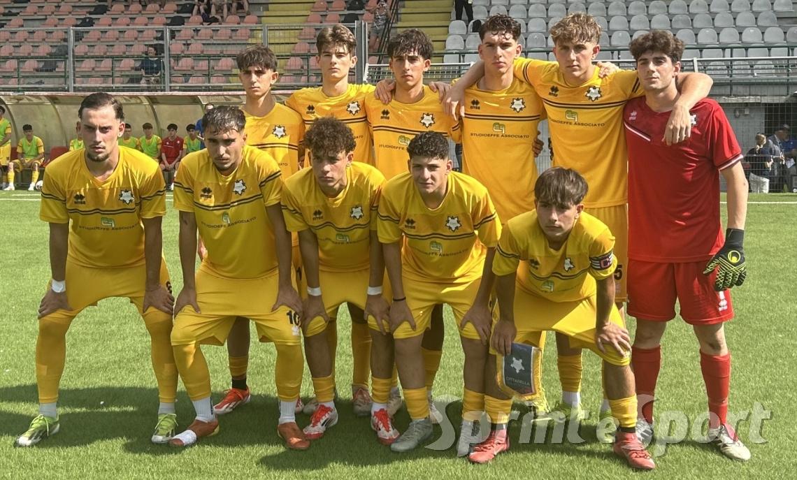 Cittadella Vis Modena