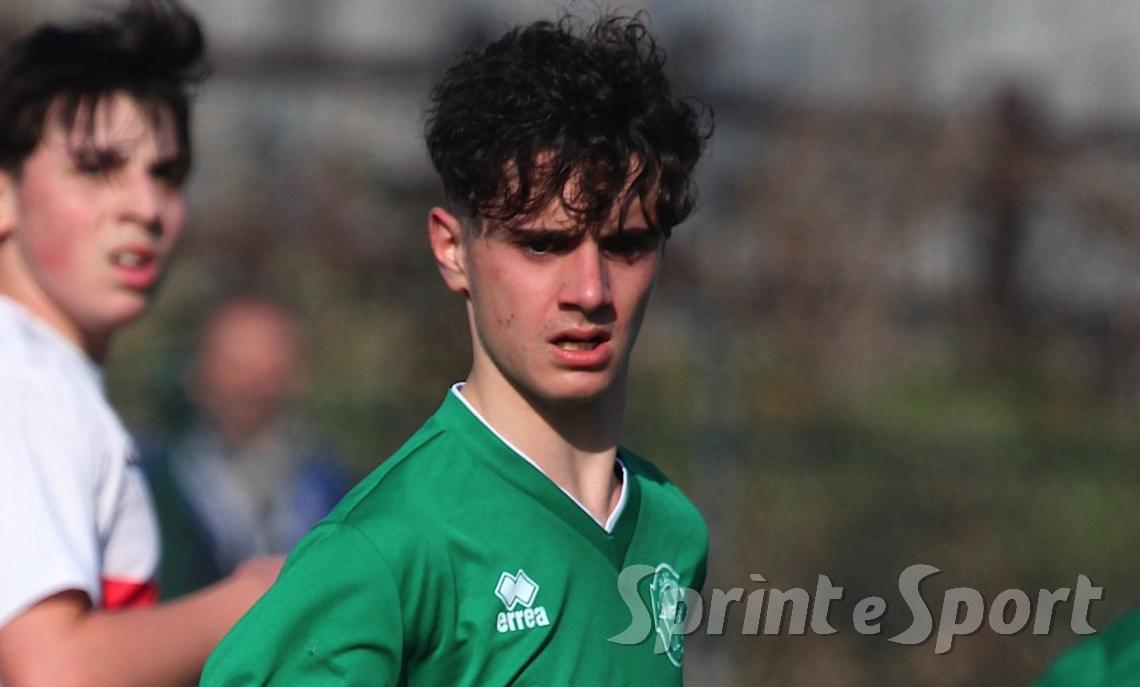 Niccolò Gigli, Vis Nova