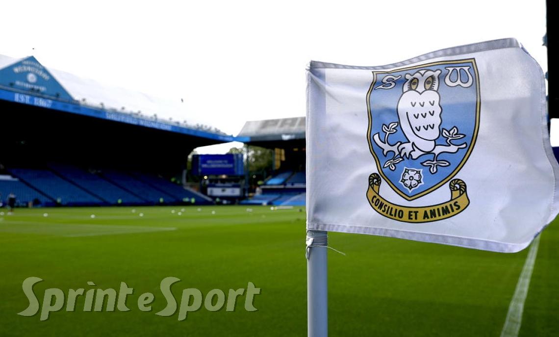 sheffield wednesday