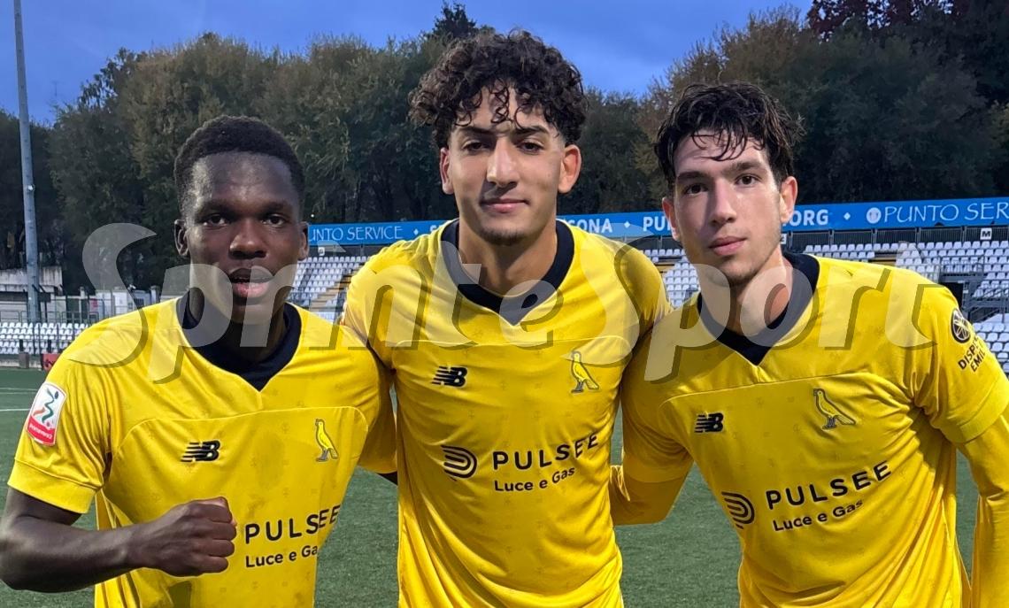 Wiafe Samuel, Zidouh Taha, Sarris Ioannis, Modena