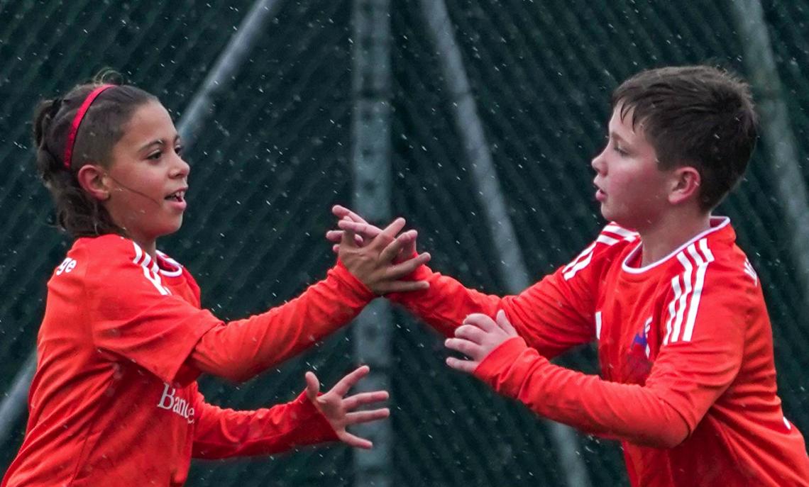 Quanto devo pagare il biglietto per vedere mio figlio giocare? Uno sguardo su Milano