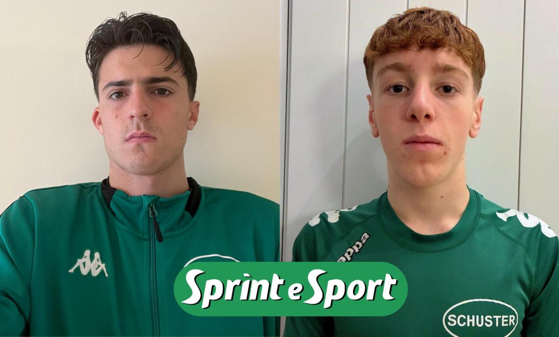 Ripamonti Tarsia Schuster