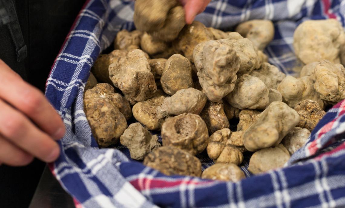 Trifola d&rsquo;Or di Murisengo diventa Fiera Internazionale del Tartufo Bianco