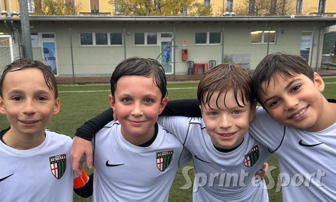 PULCINI AUSONIA &bull;