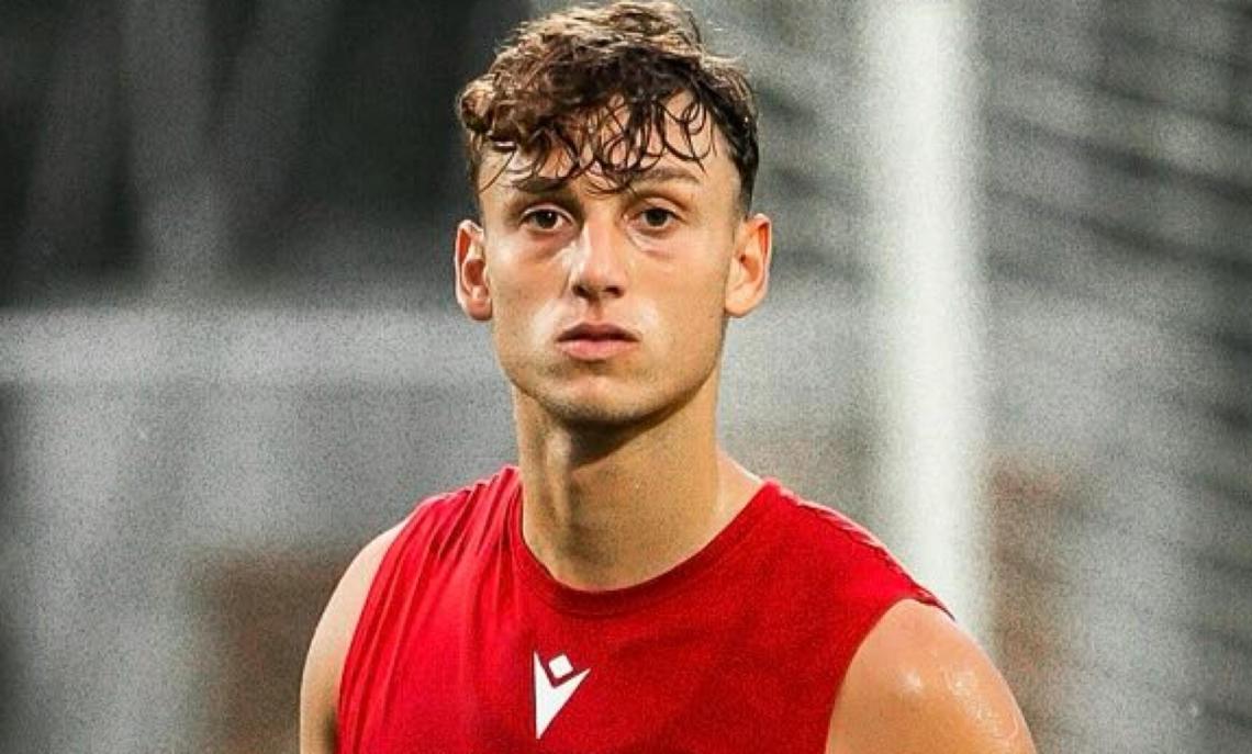 VIS PESARO SERIE C - DAVIDE PIO STABILE