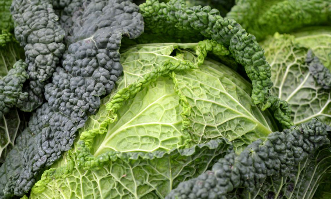 Sagra del Cavolo Verza 2025: a Montalto Dora il gusto della tradizione contadina