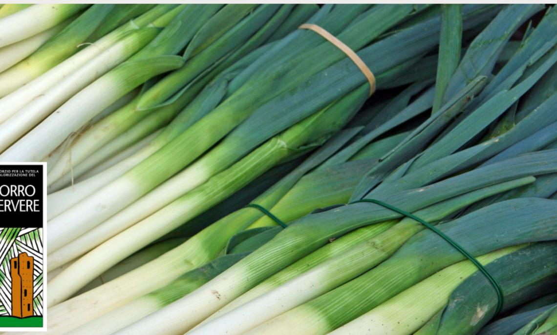 Fiera del Porro di Cervere 2025, il PalaPorro accende l’autunno della Granda