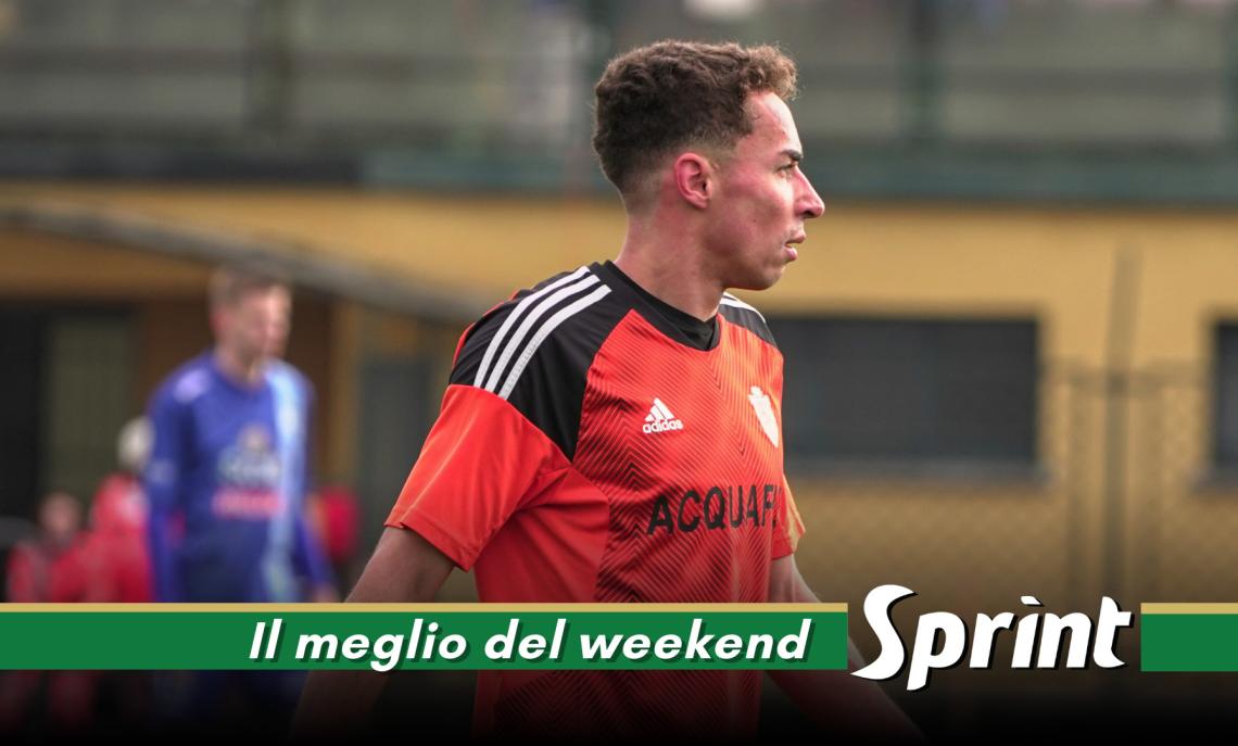 Pedergnana AURORA CMC