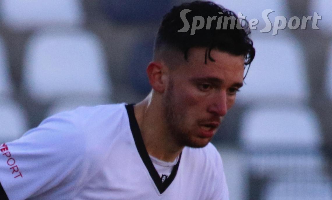 PINETO SERIE C - GIOVANNI BRUZZANITI