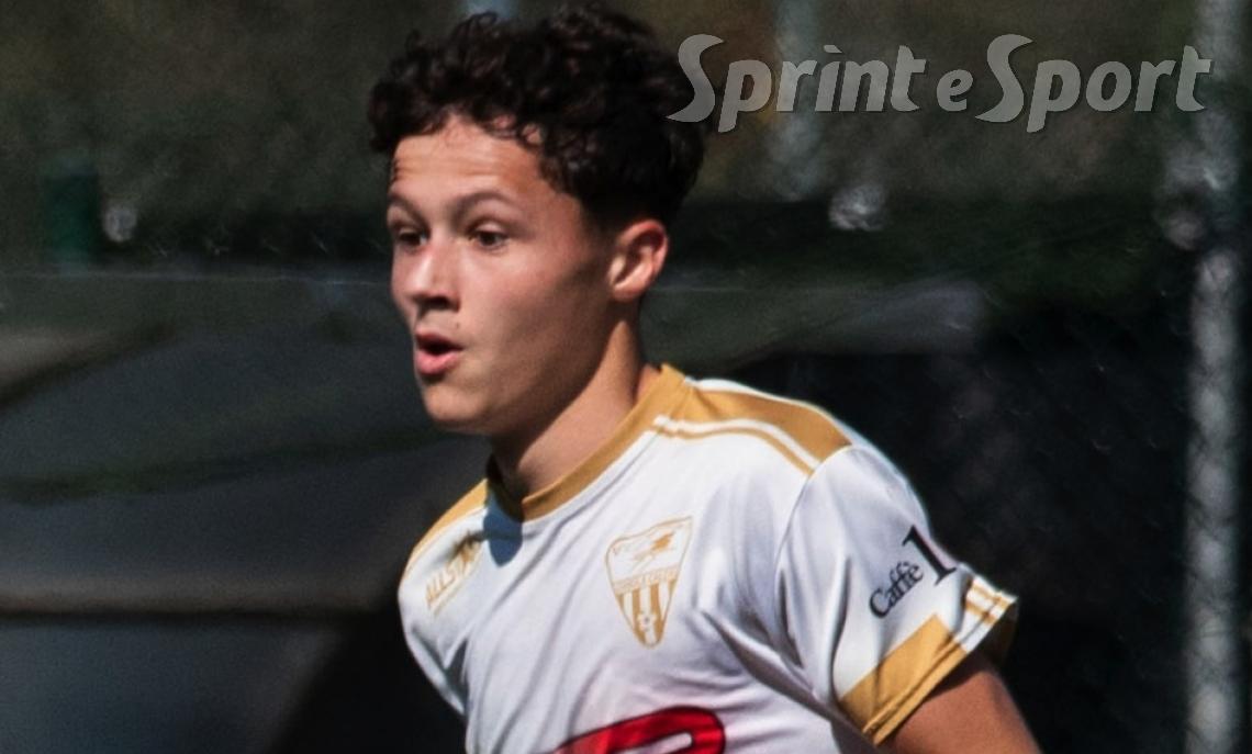 CHISOLA SERIE D - FEDERICO MARINI