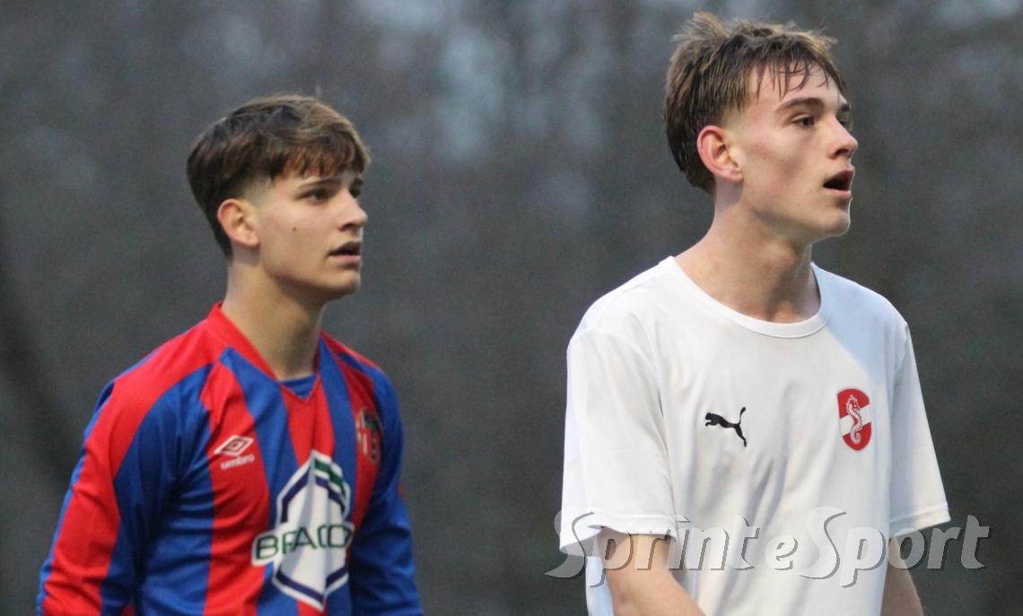 Veneroni e Zubcu, Enotria, Cimiano