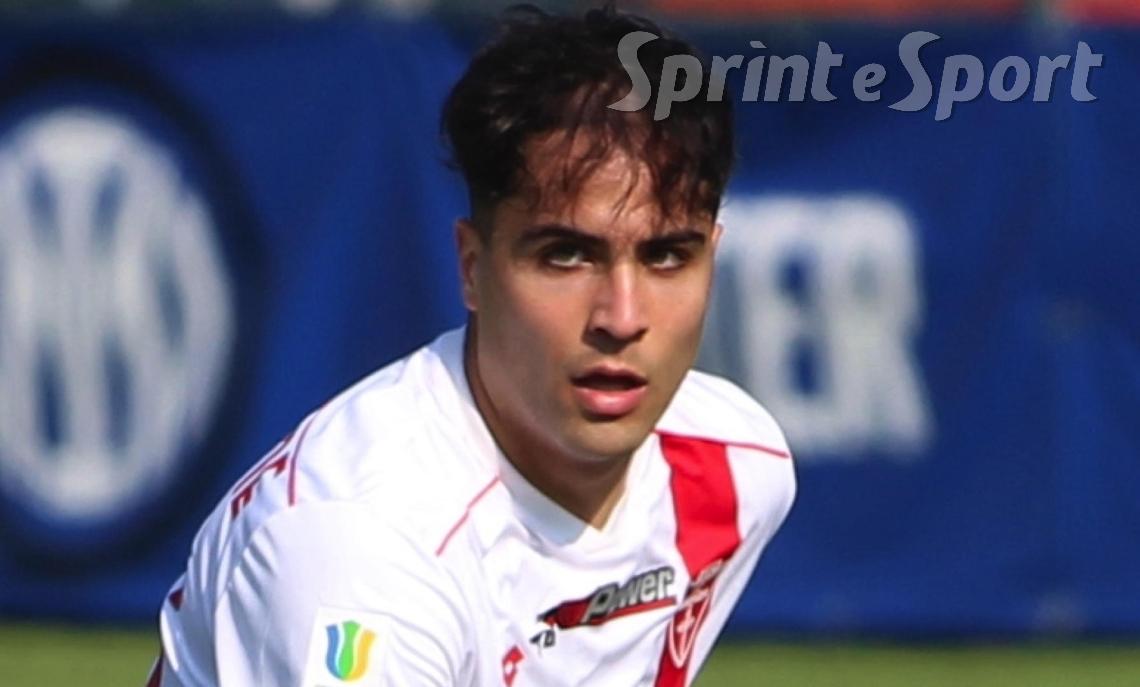 PINETO SERIE C &ndash; NICOLÒ POSTIGLIONE