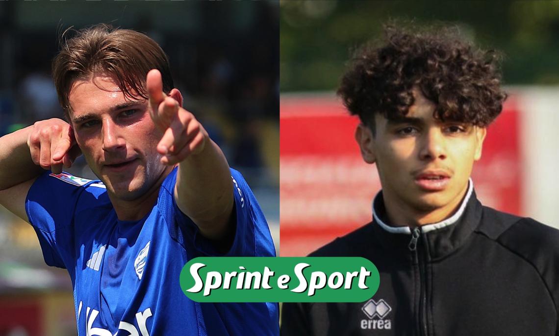 Mezsargs Como Mucedola Rapp