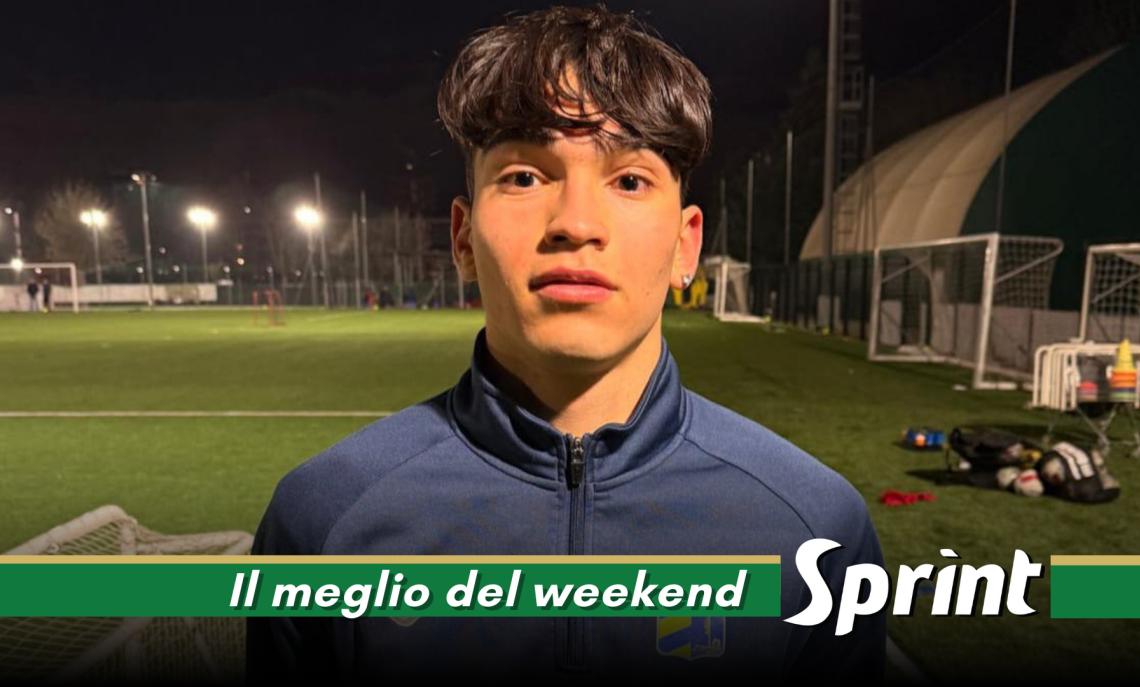 Riccardo Trippi - Afforese