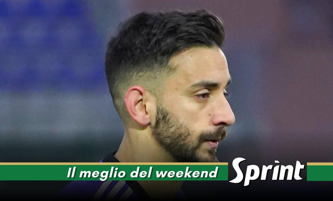 Torraca Ardor Lazzate