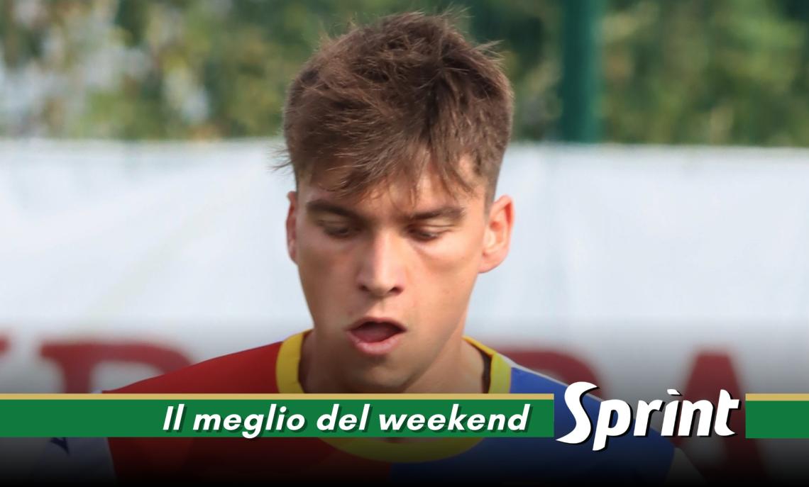 Grillo Ardor Lazzate