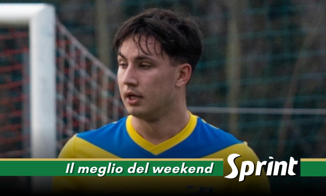 PROMOZIONE AFFORESE &bull; Alessandro Adamo